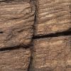 Brown-Beam